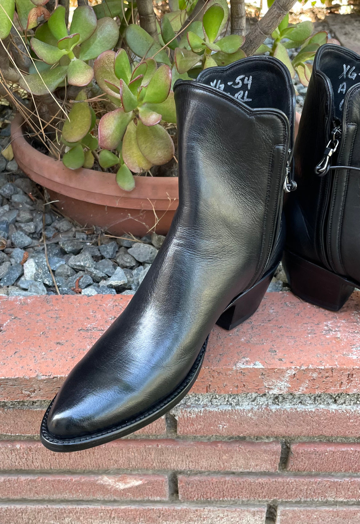 Femme Noir Water Buffalo Calf Zorro