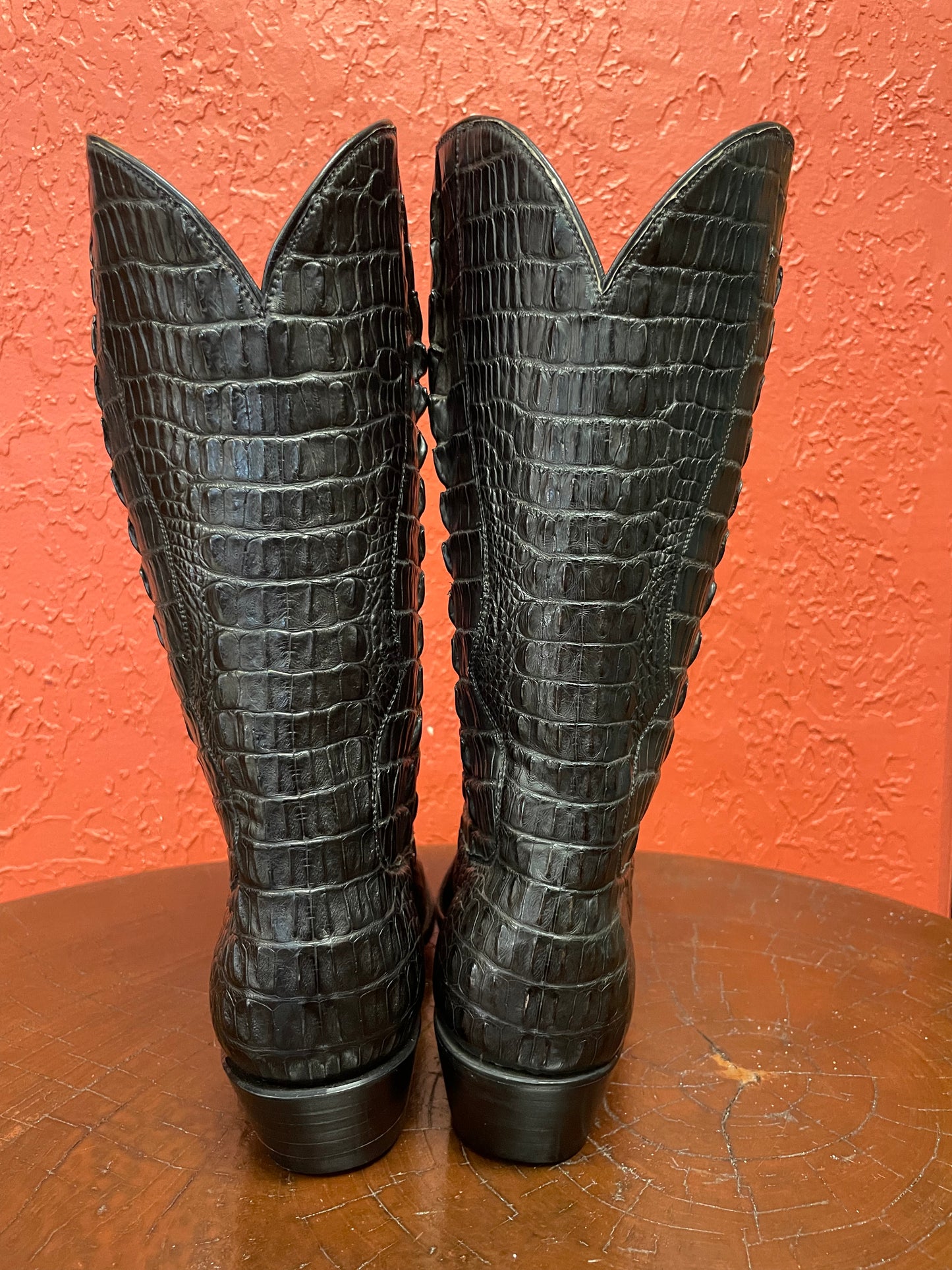 Hornback American Alligator Cowgirl