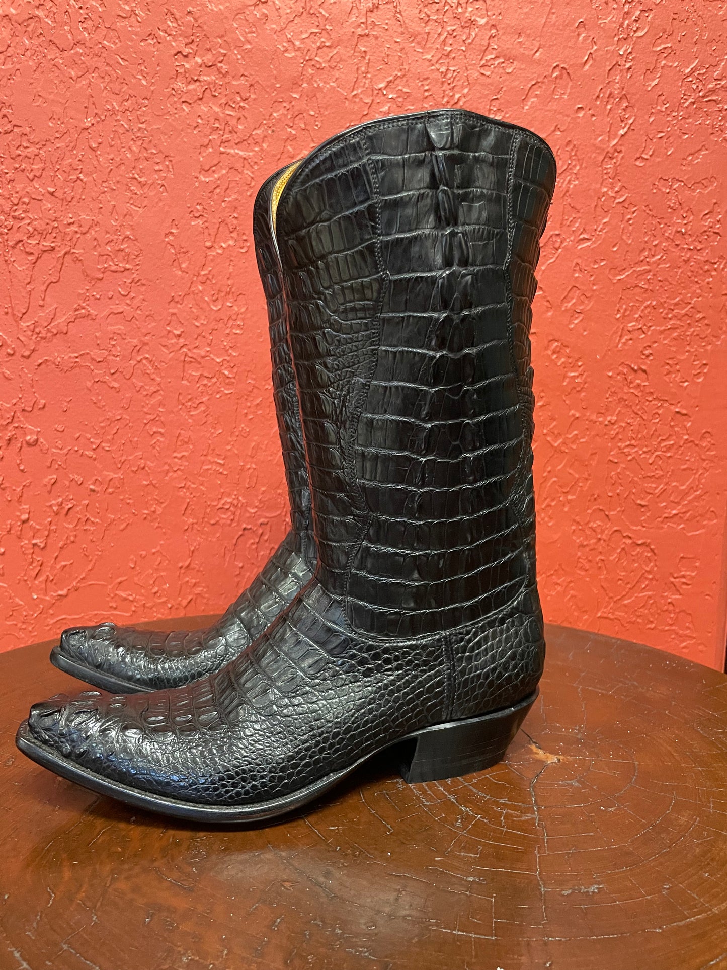 Hornback American Alligator Cowgirl