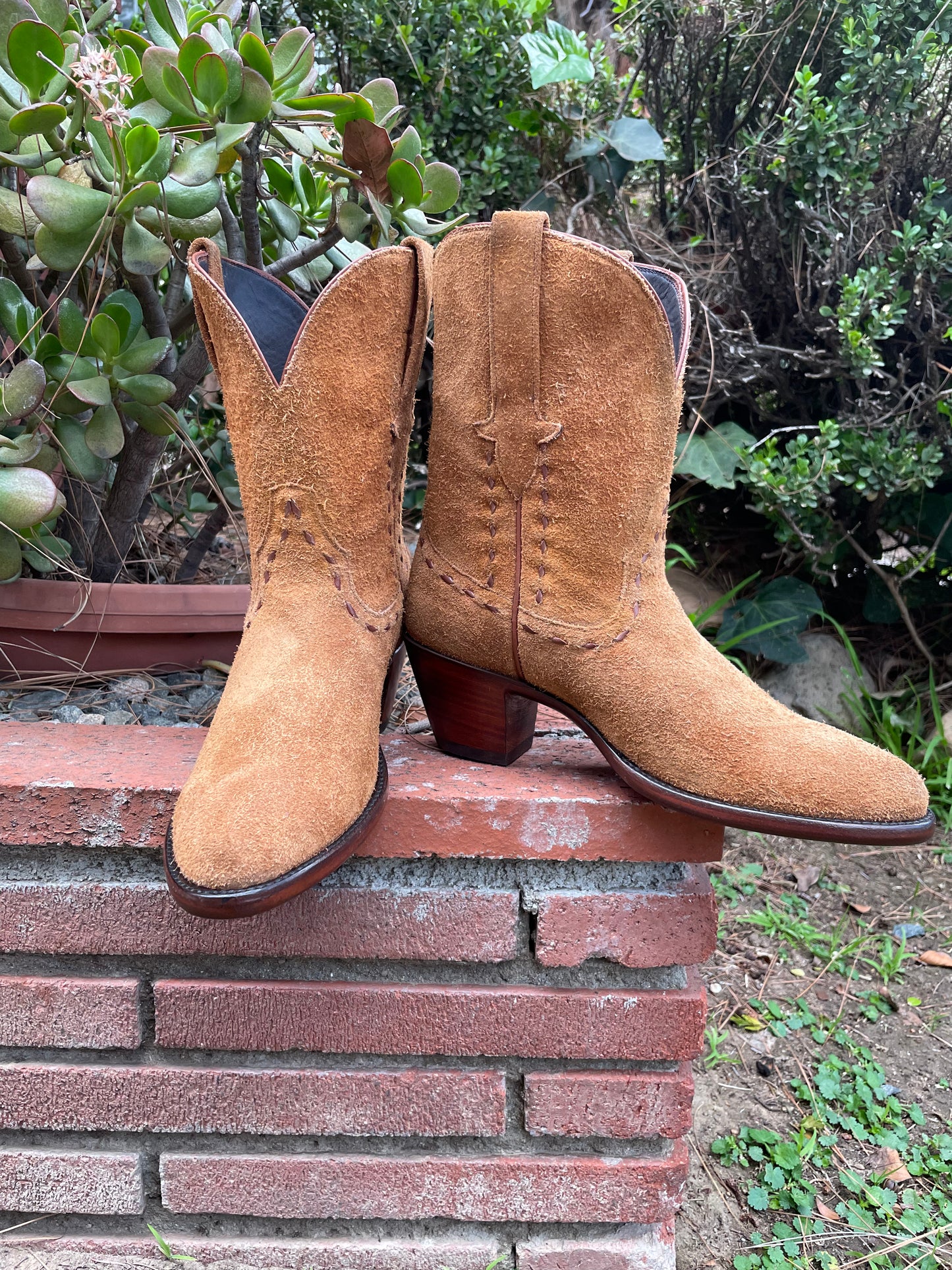 Rust Pee Wee Roughout