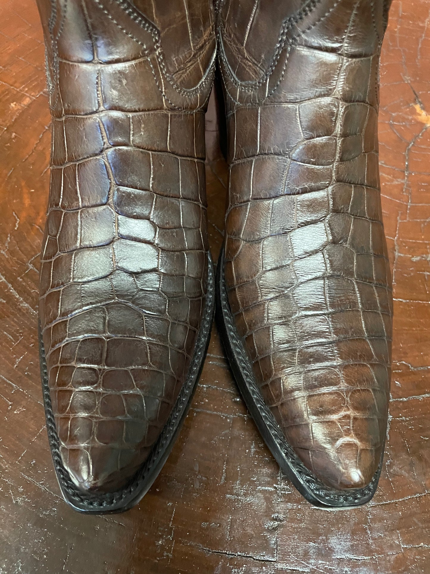 Espresso American Alligator Belly Cowgirl