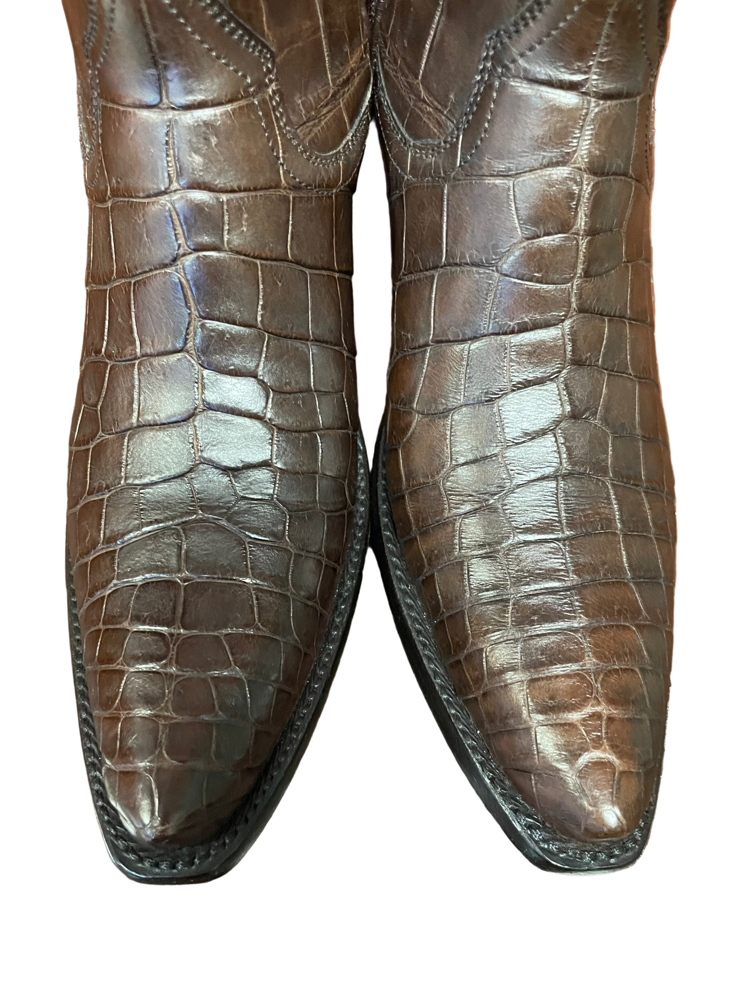 American Alligator Belly Cowgirl in Sport Rust