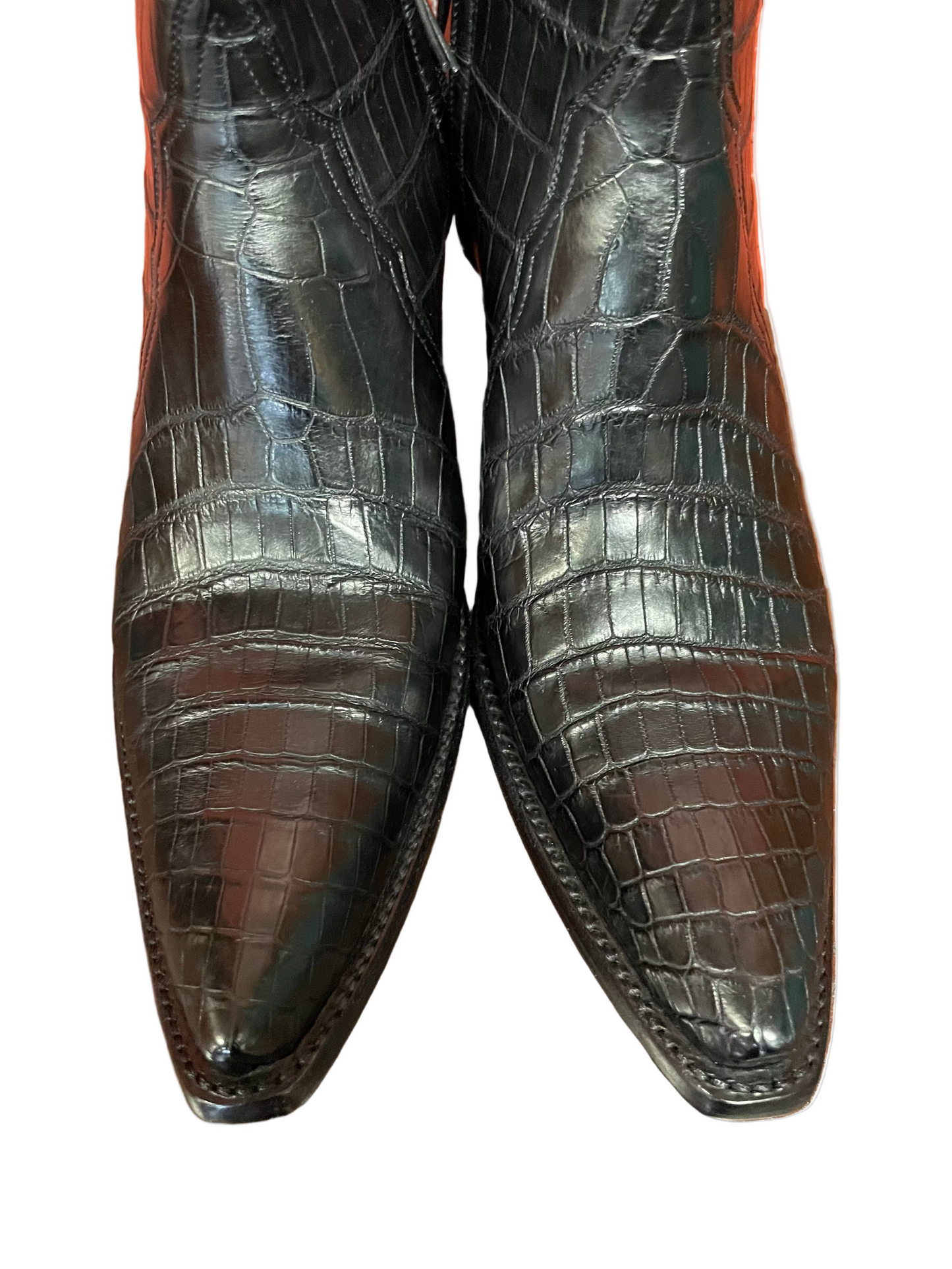 Women’s American Alligator Belly ZG Zip in Noir