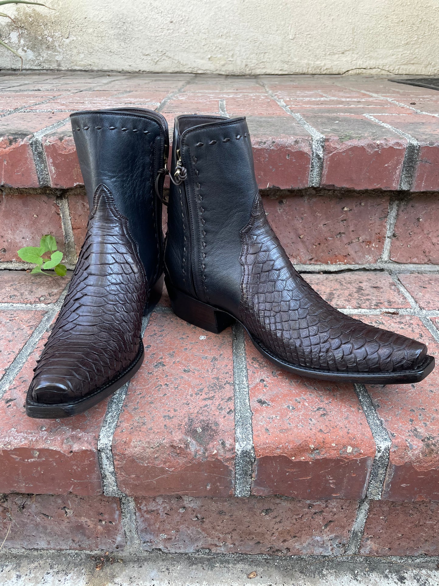 Espresso Python and Noir Calfskin Zip