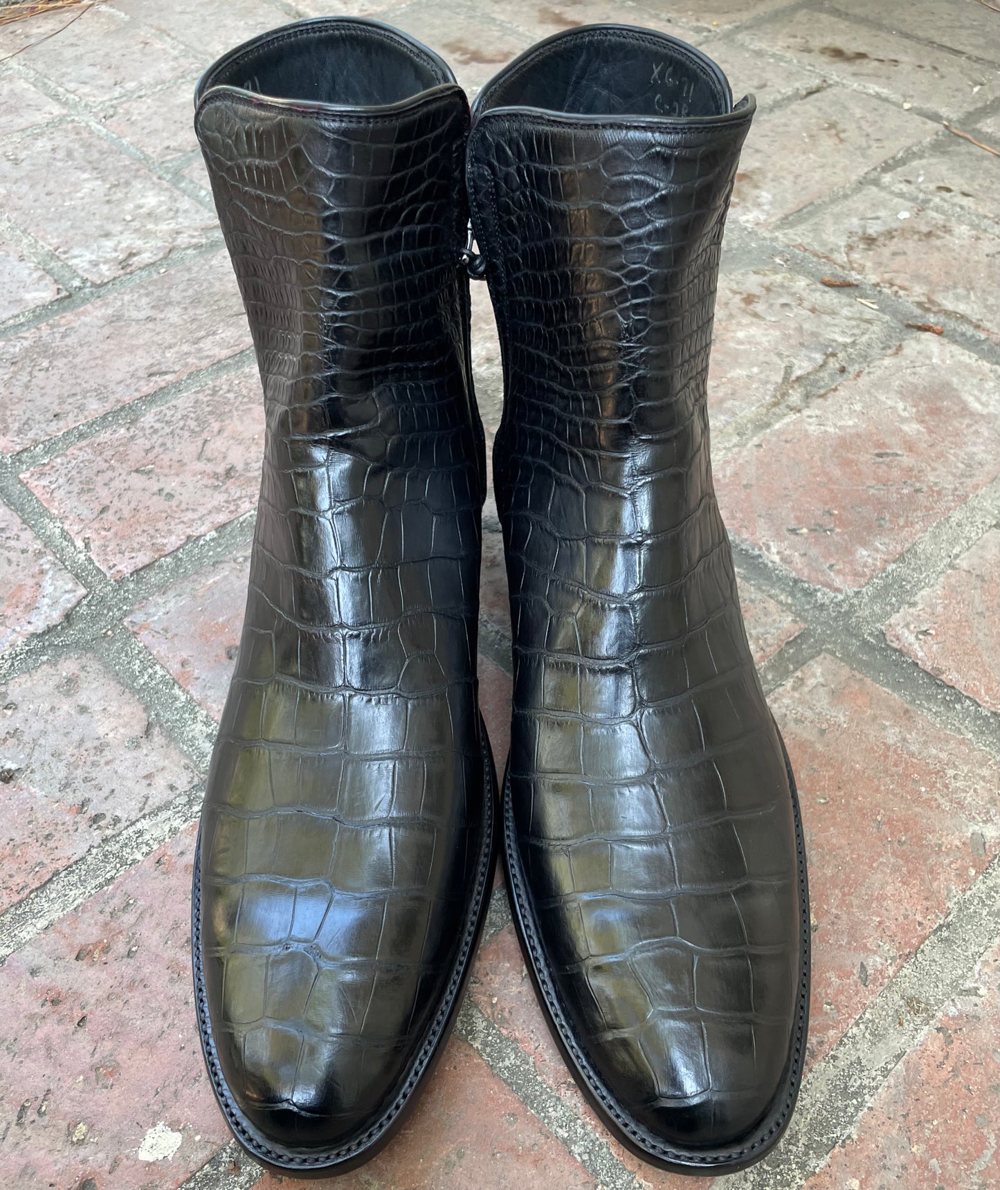 American Alligator Belly Zorro Noir