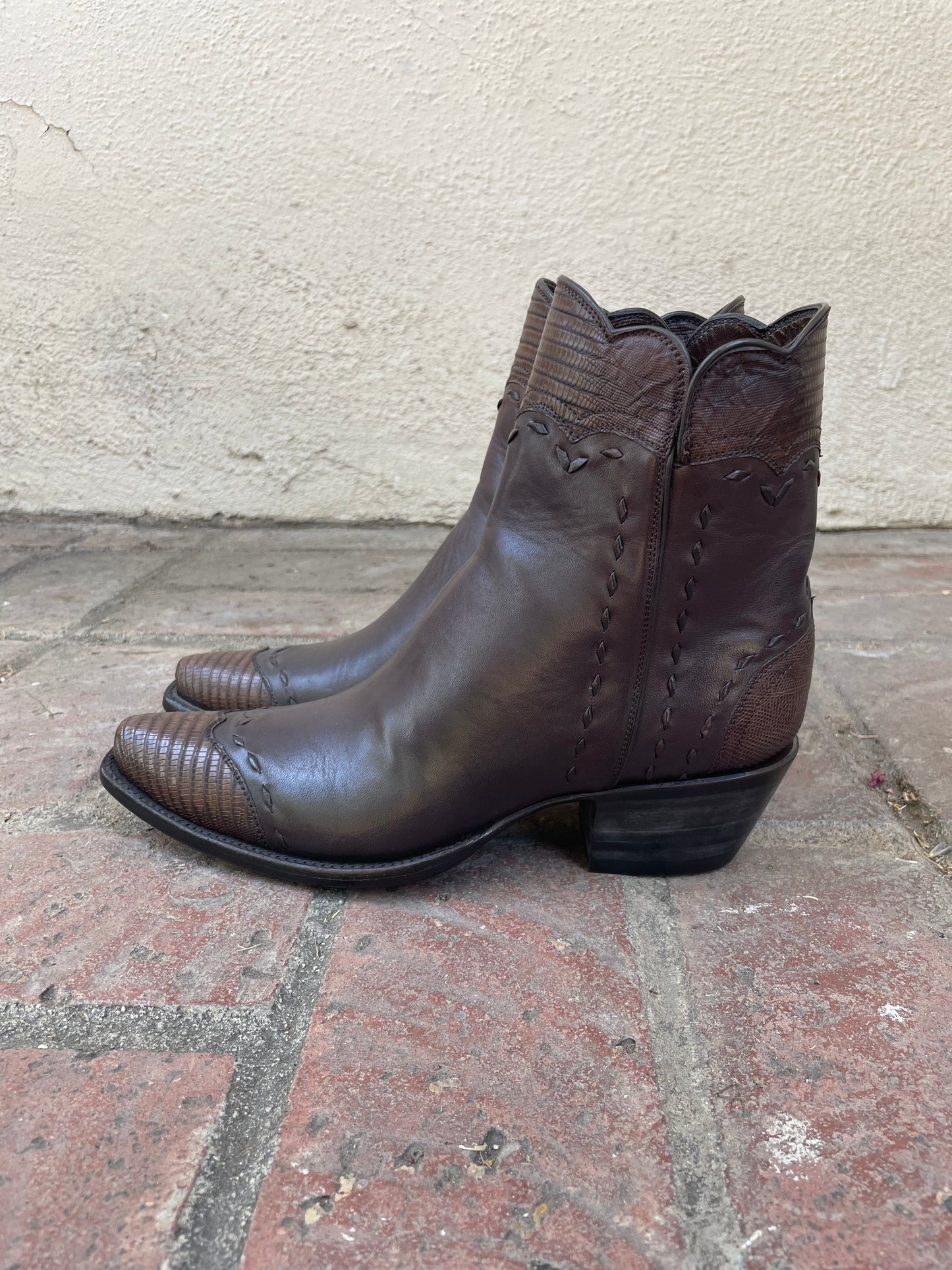 Cheval With Teju Lizard Zip in Chocolate