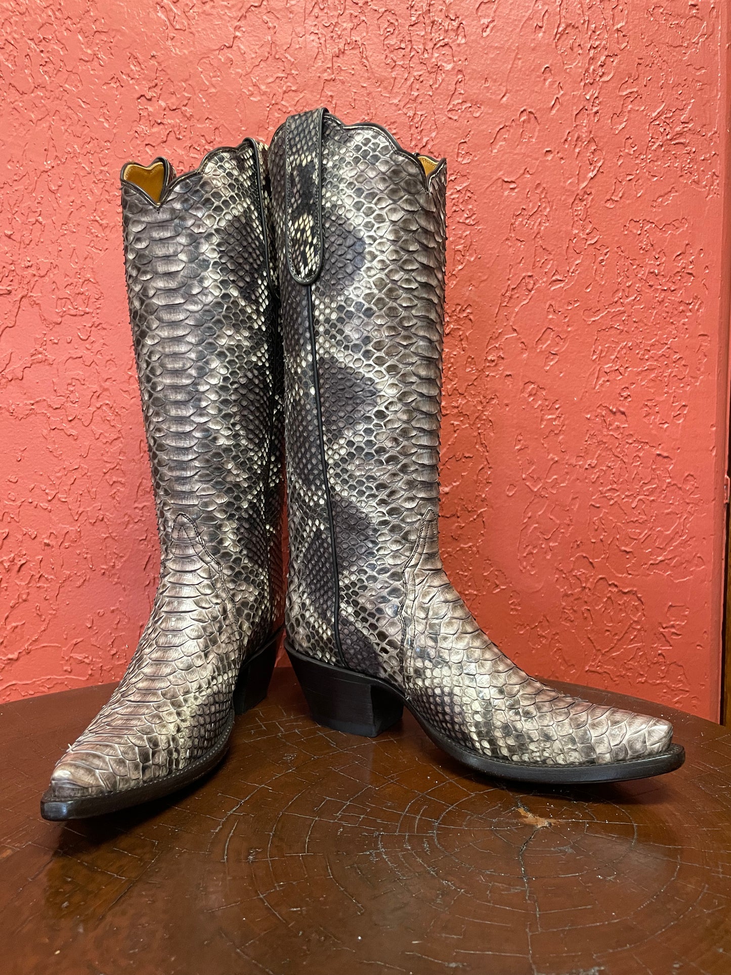 Crème Et Chocolate Python Tall ZG Cowgirl