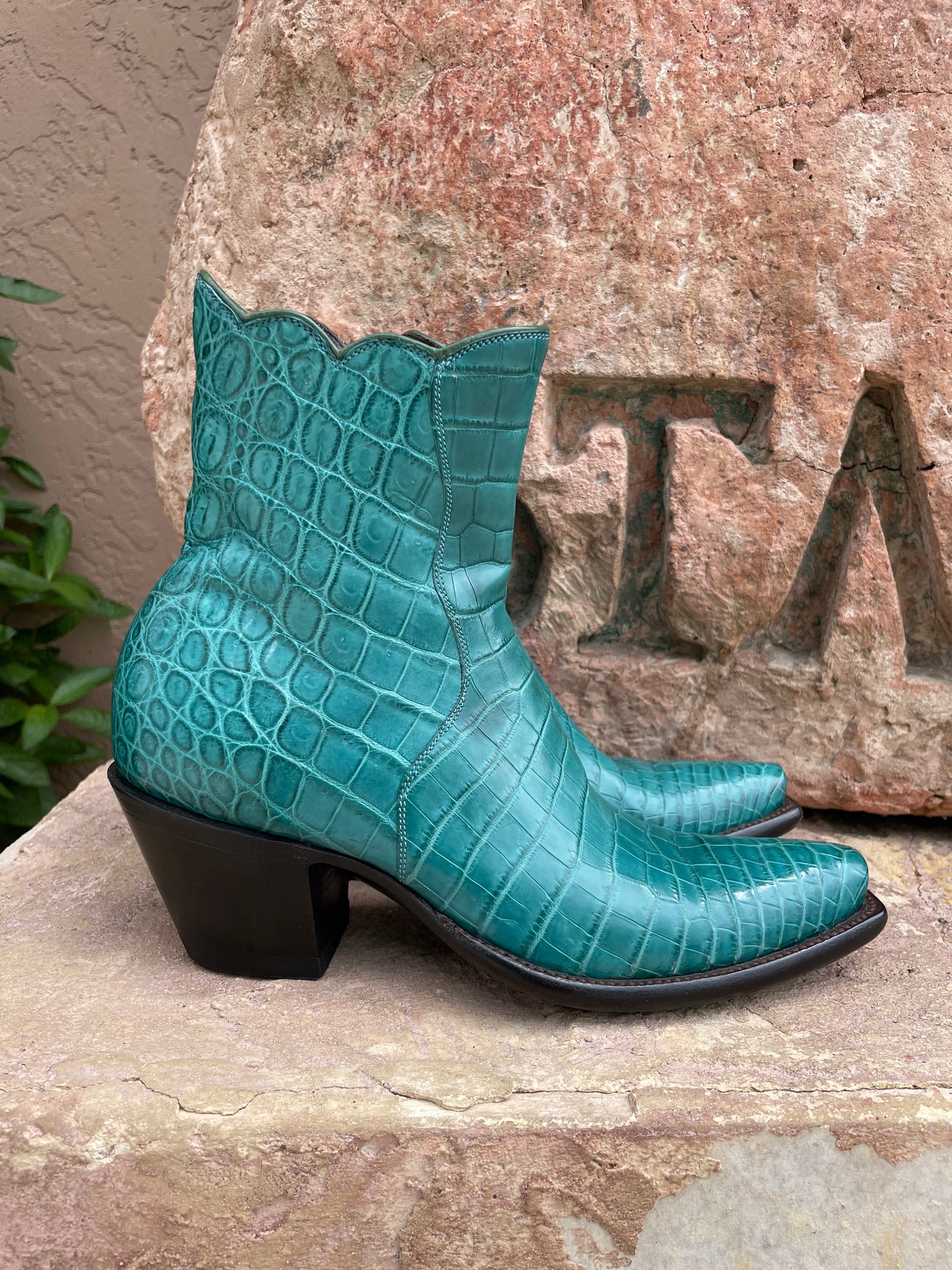 Turquoise American Alligator Belly ZG