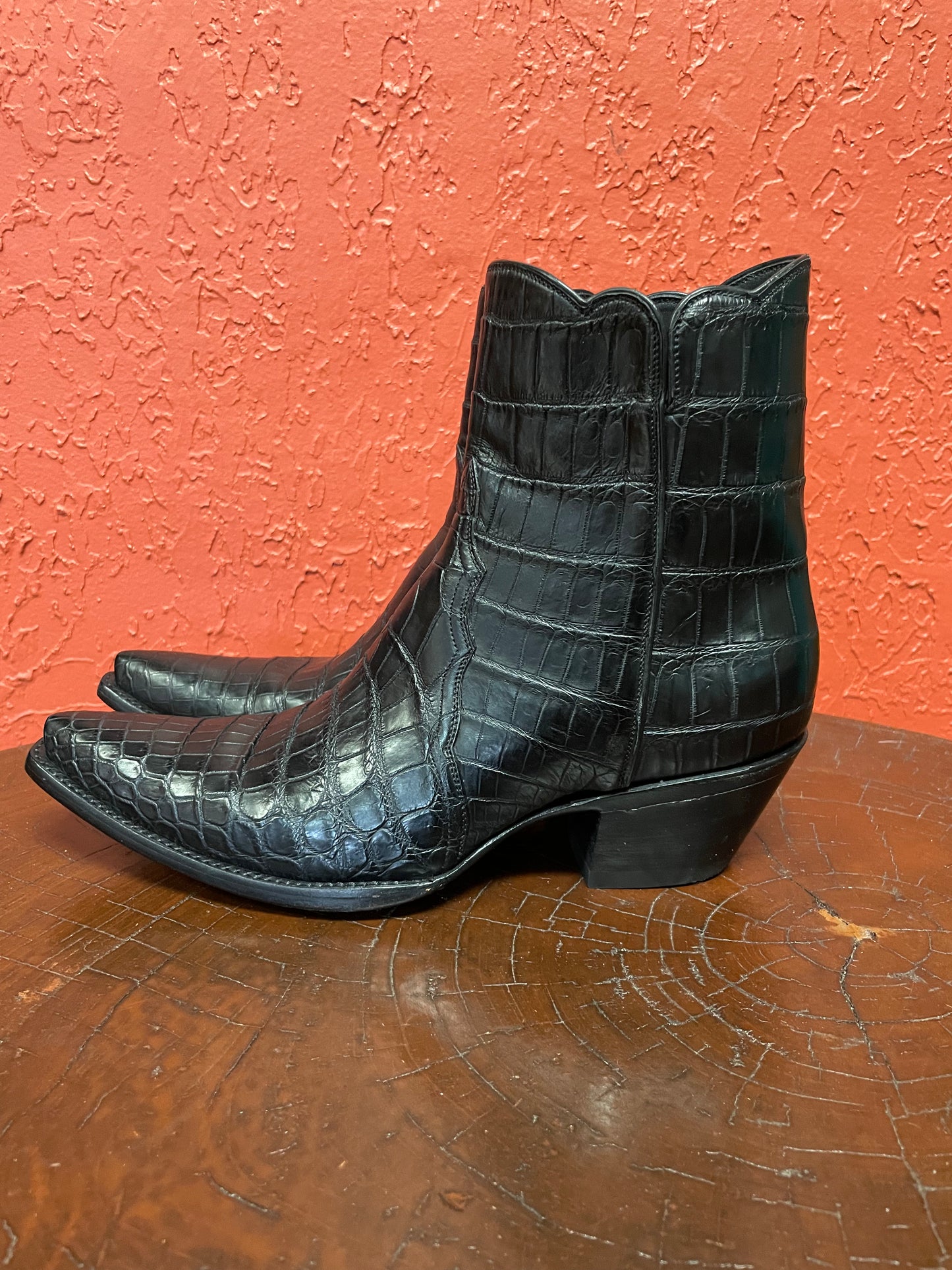 Femme American Alligator Belly Noir ZG