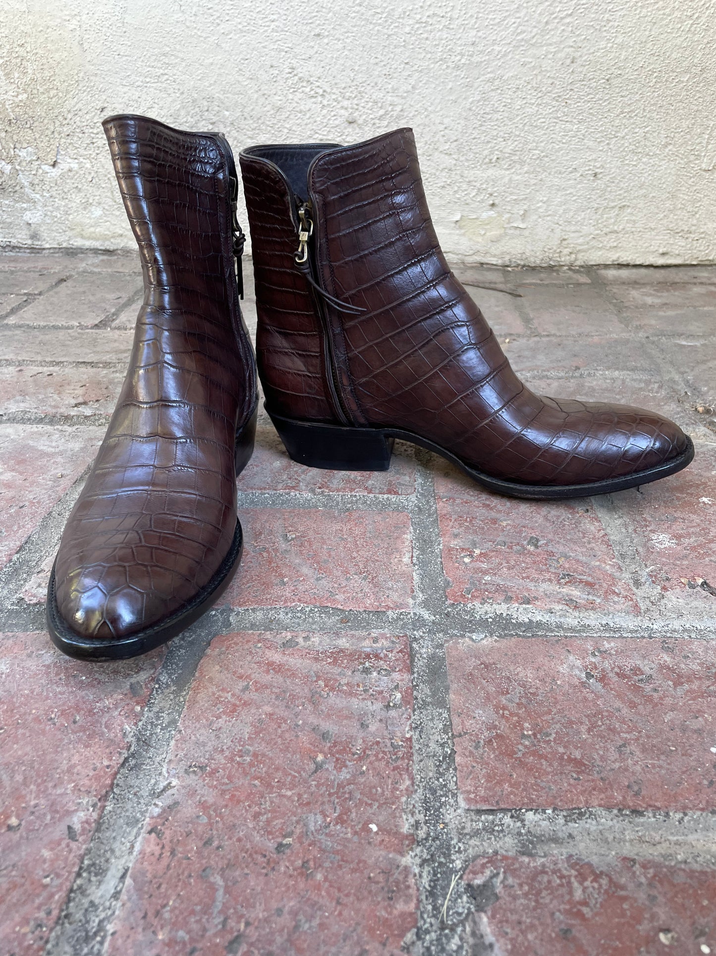 Amaretto American Alligator Belly Zorro