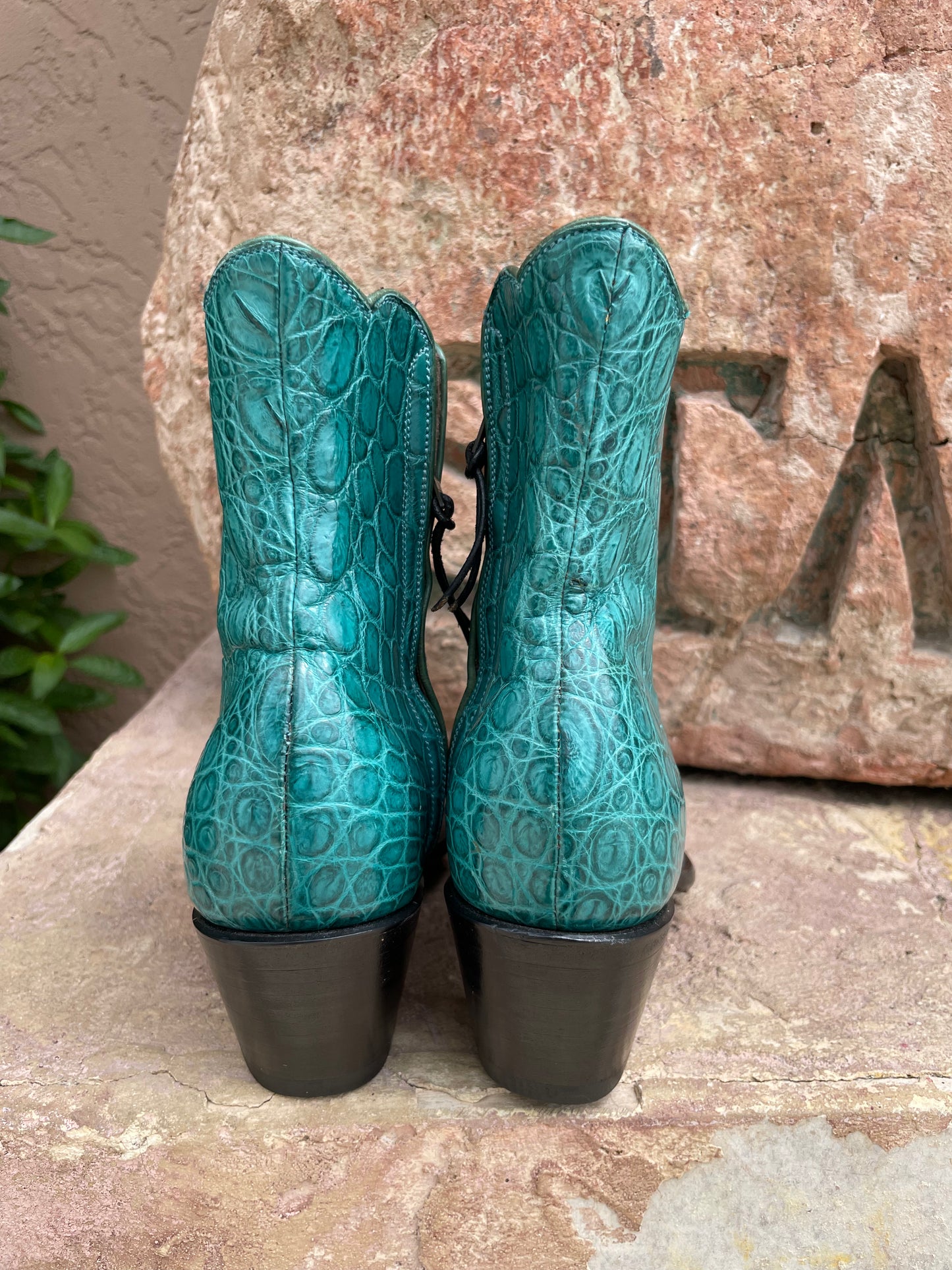 Turquoise American Alligator Belly ZG