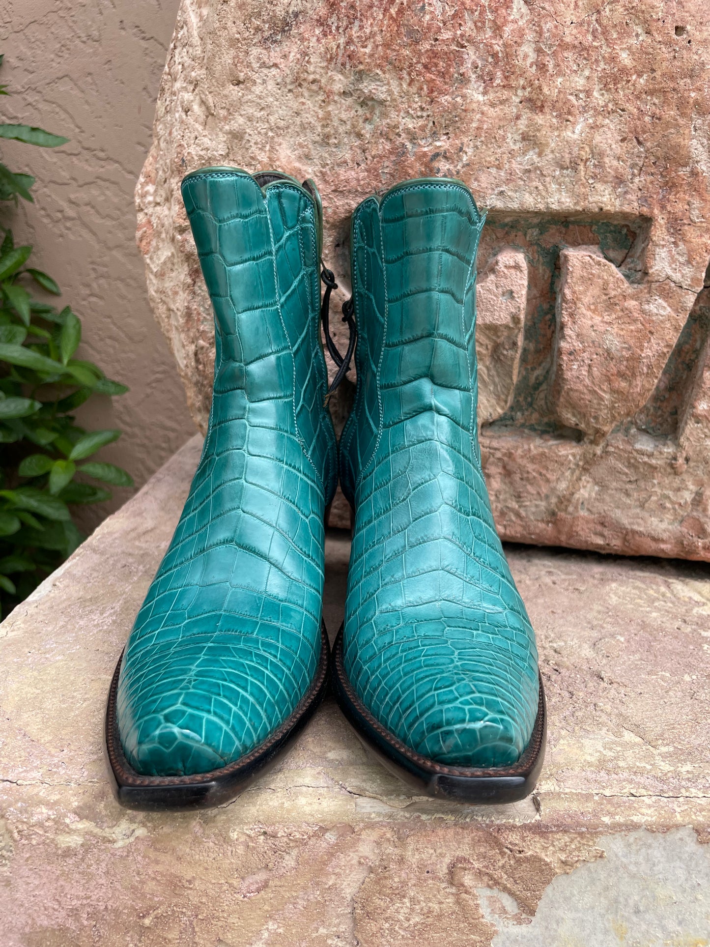 Turquoise American Alligator Belly ZG