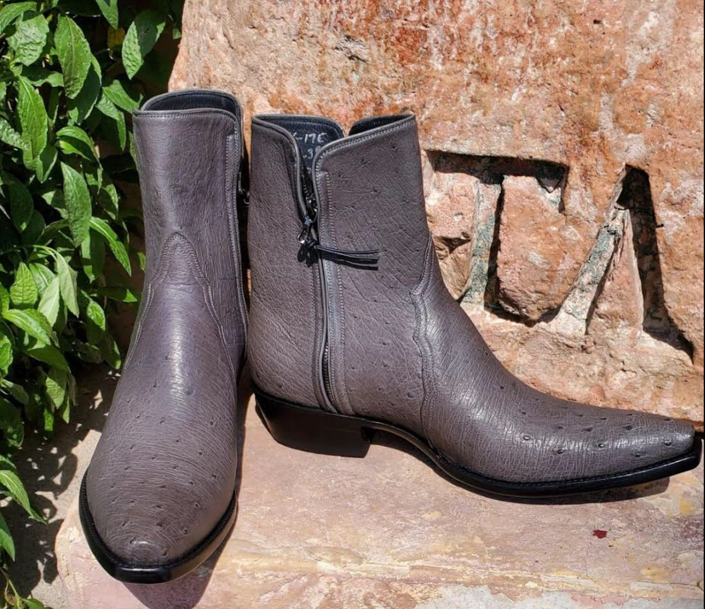 Gris Smooth Ostrich ZG