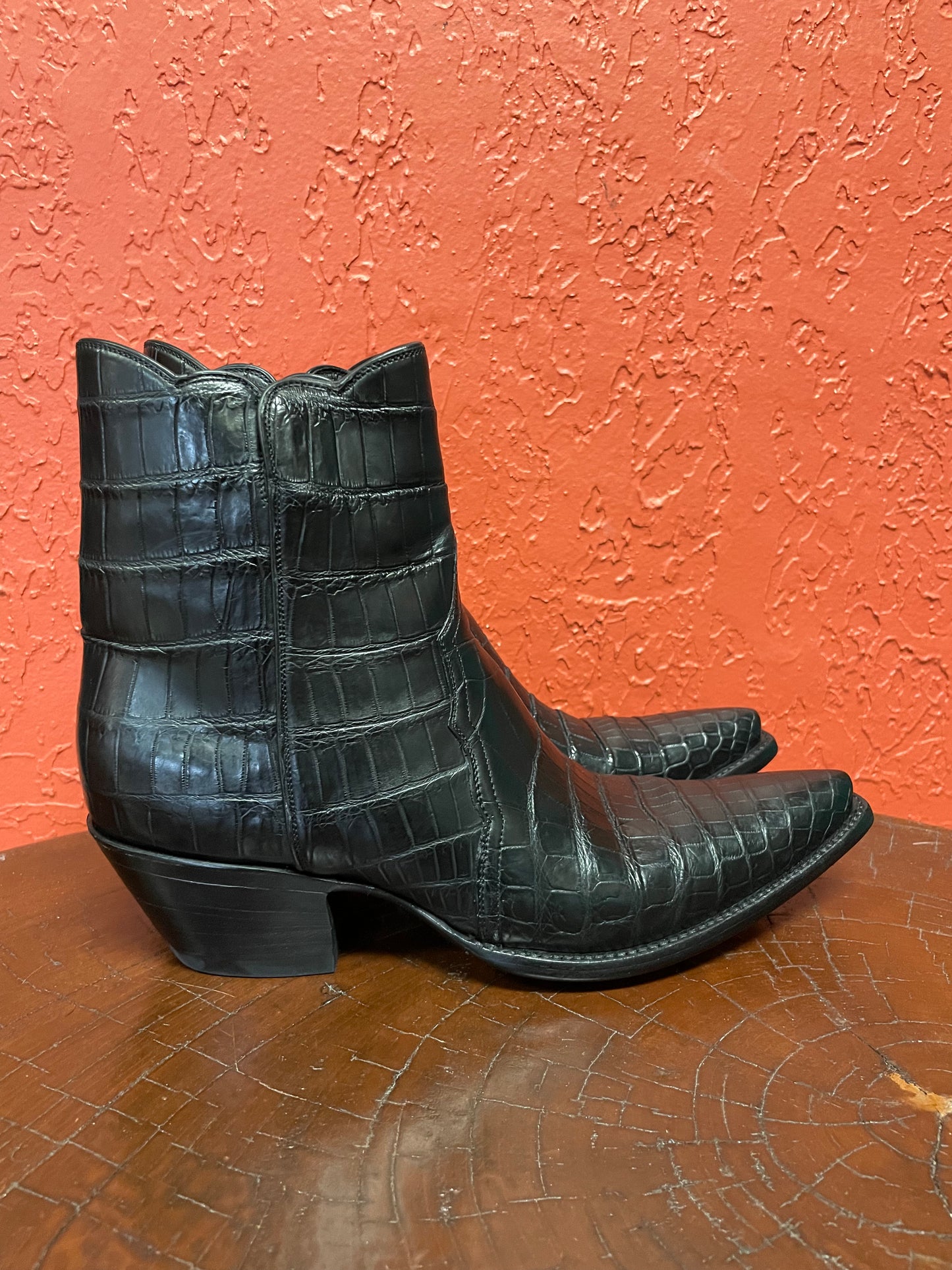 Femme American Alligator Belly Noir ZG