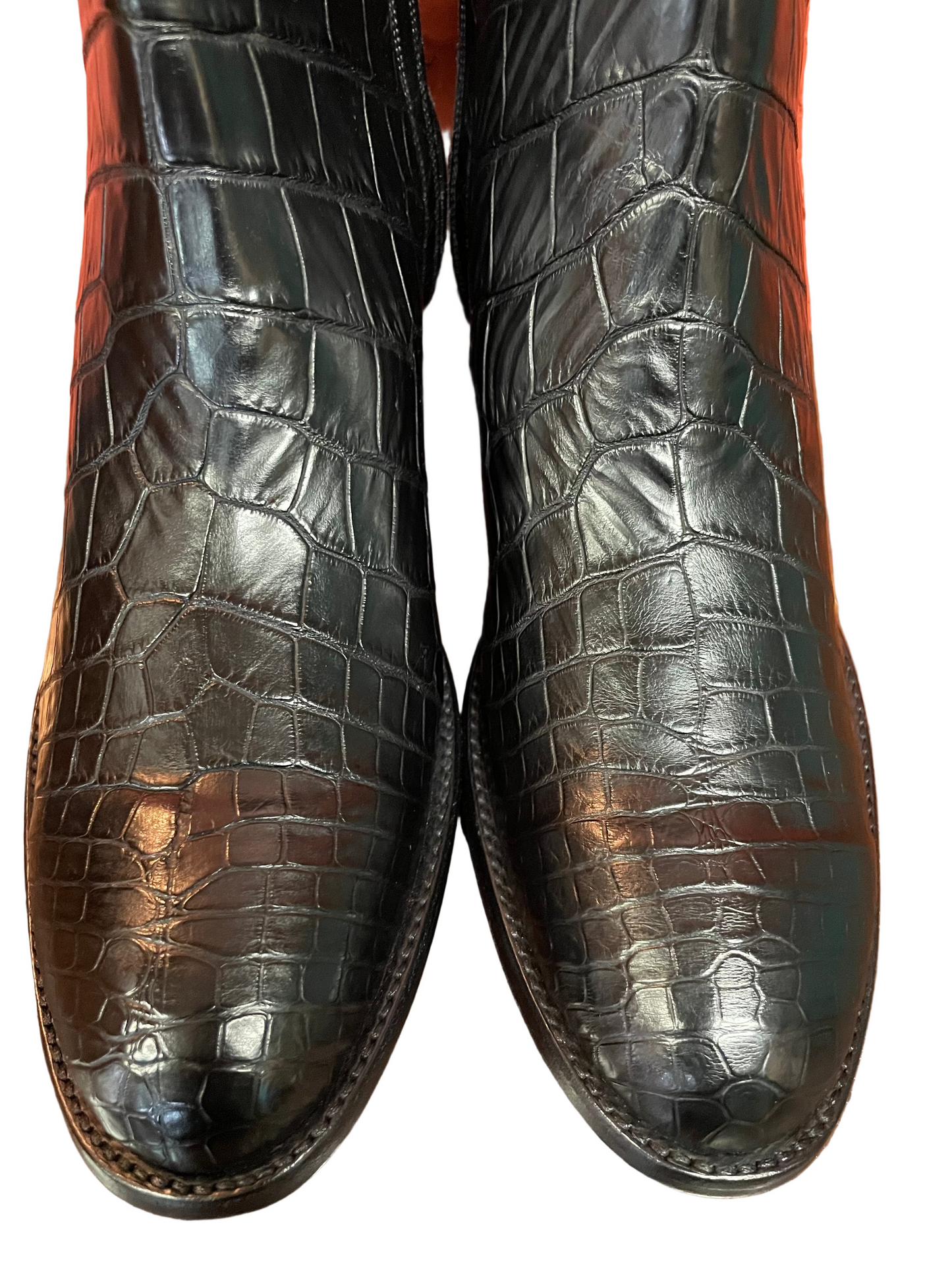 Alligator Belly Zip in Noir