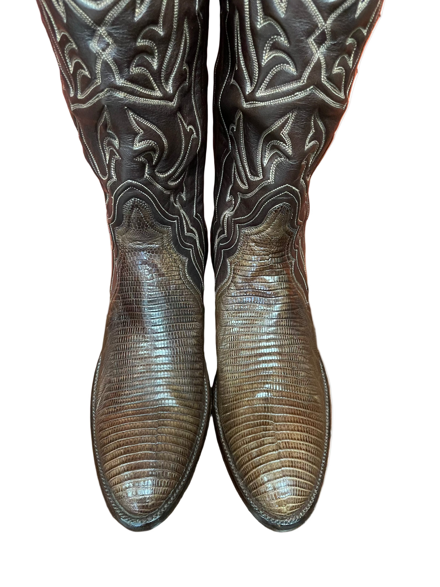 Burnished Cafe Teju Lizard Cowgirl