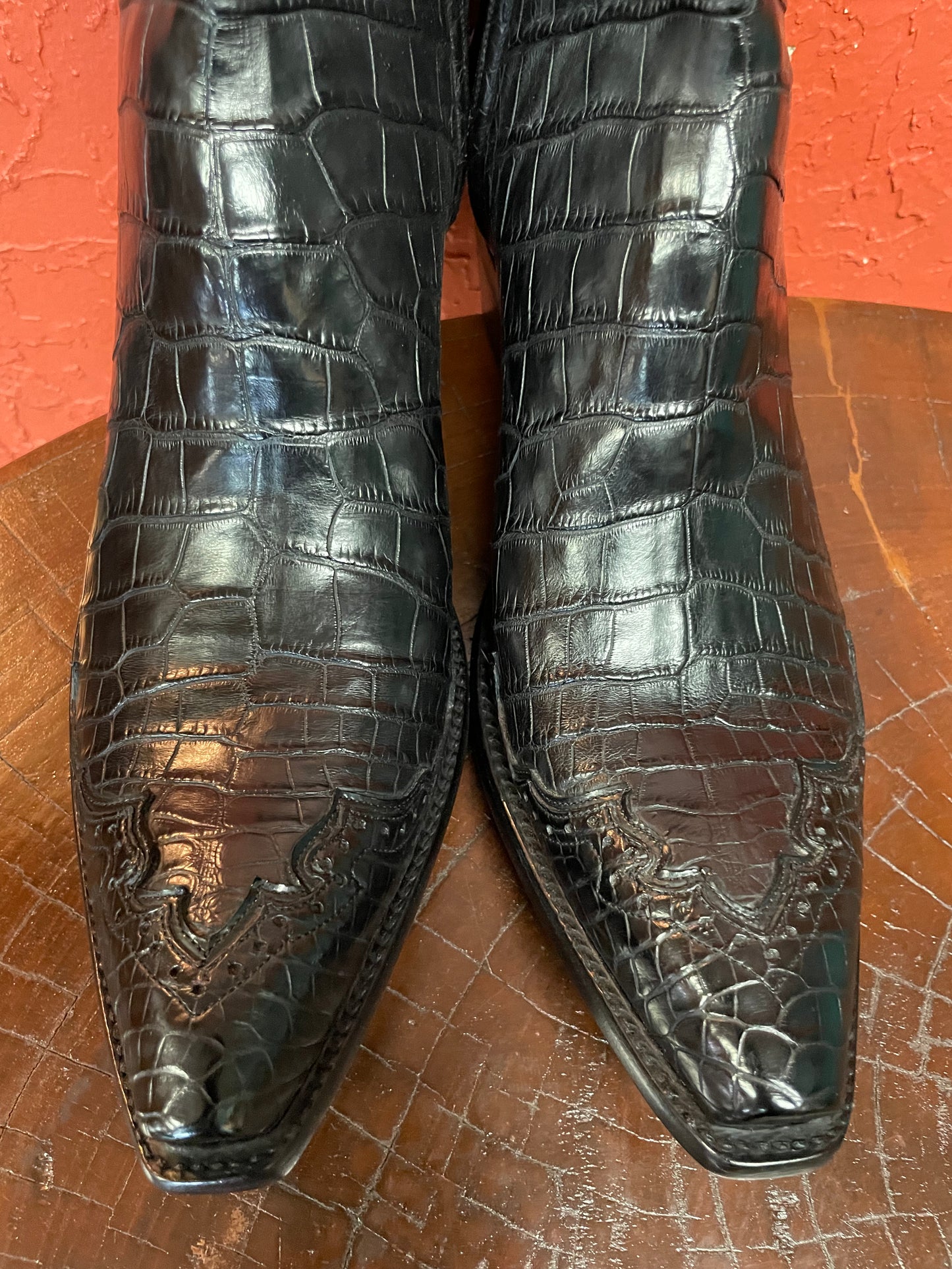 Majestic Noir Alligator Belly Zorro