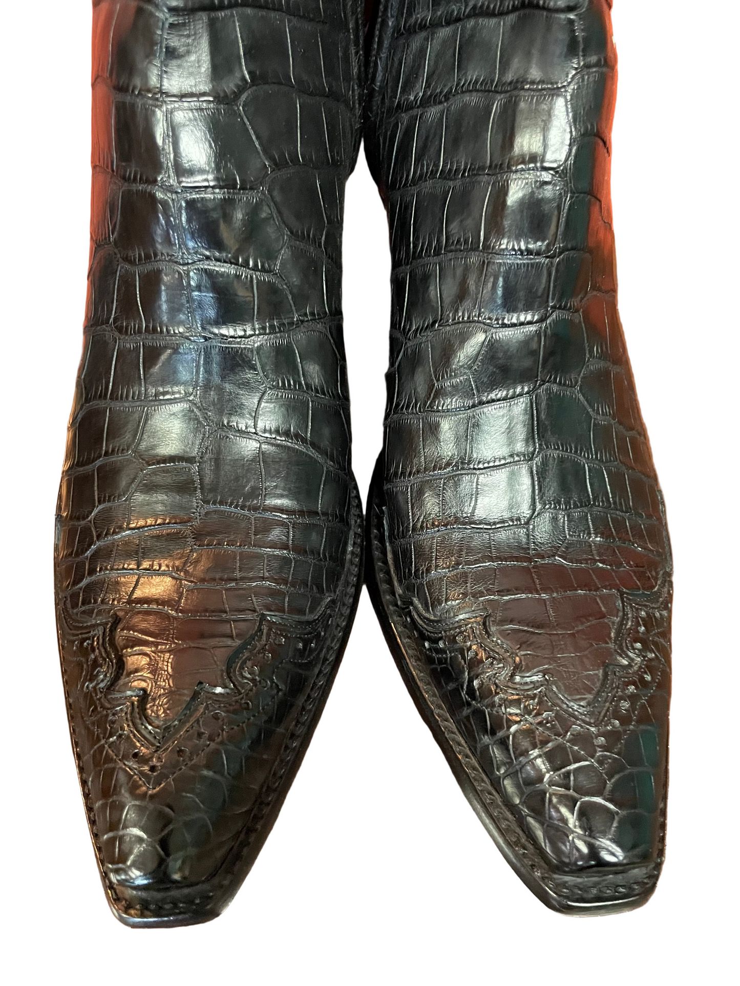 “Majestic” Alligator Belly Zip in Noir