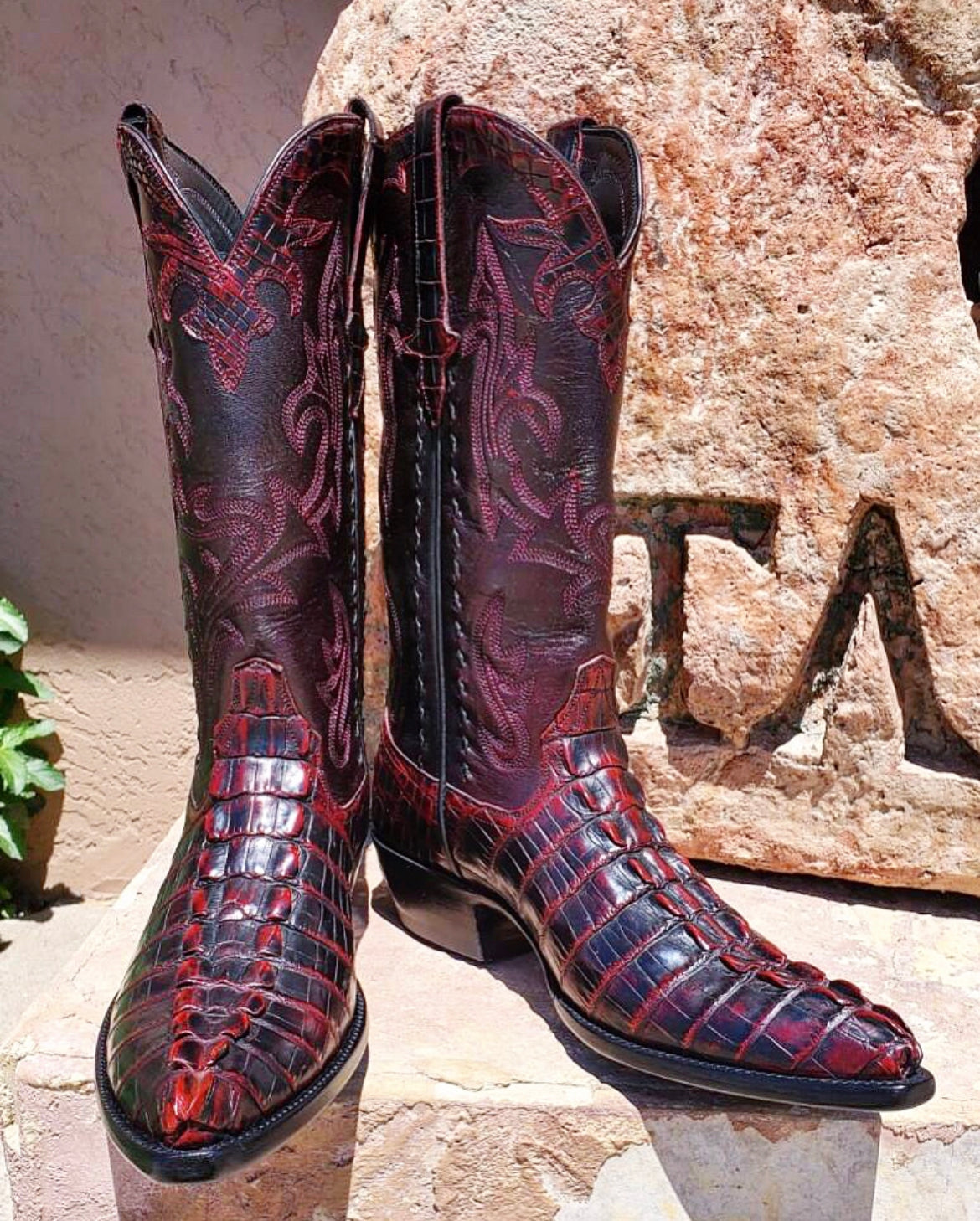 Cherry Cola Alligator HB Tails Gallant