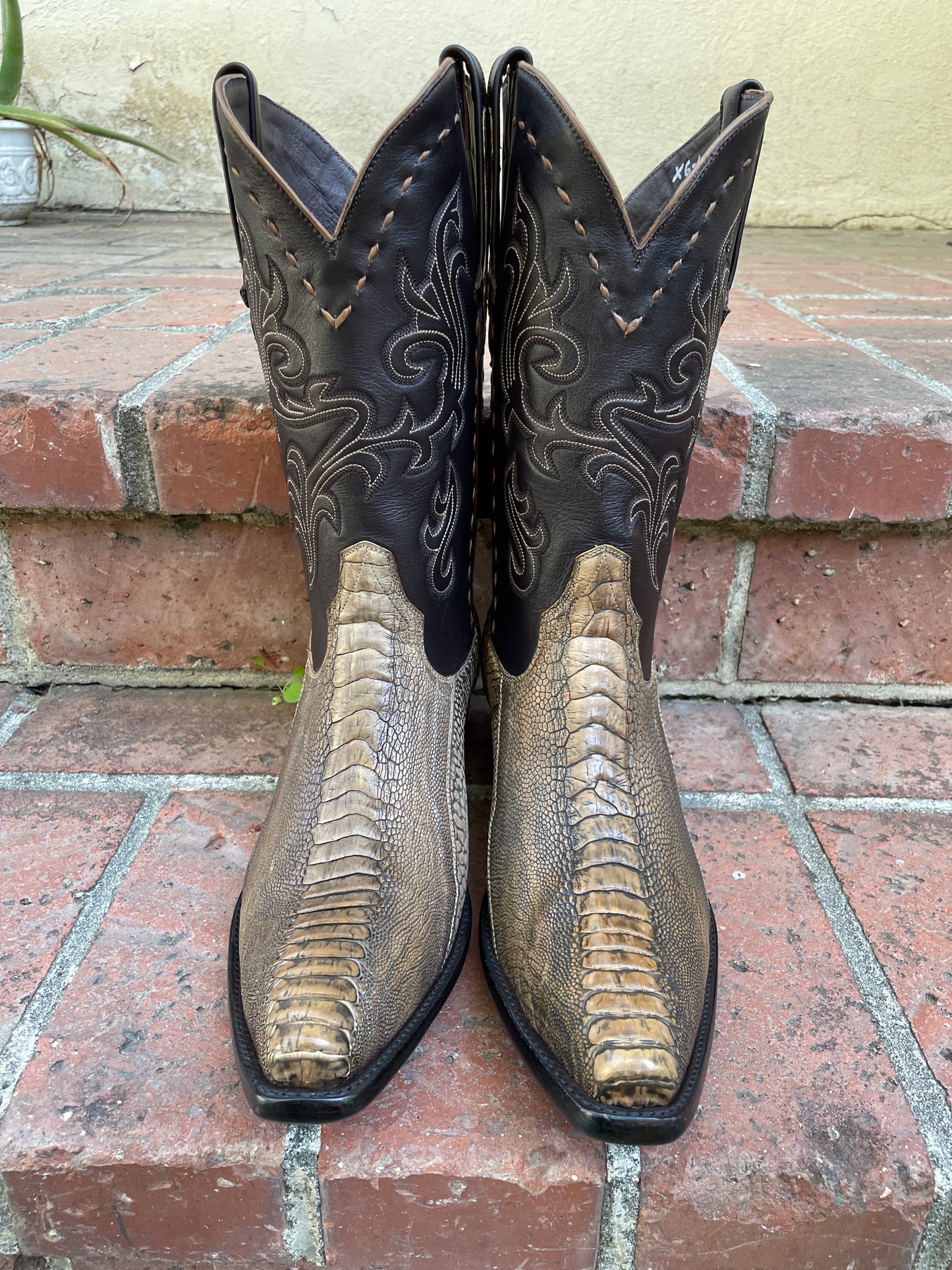 Antiqued Tan Ostrich Leg Western