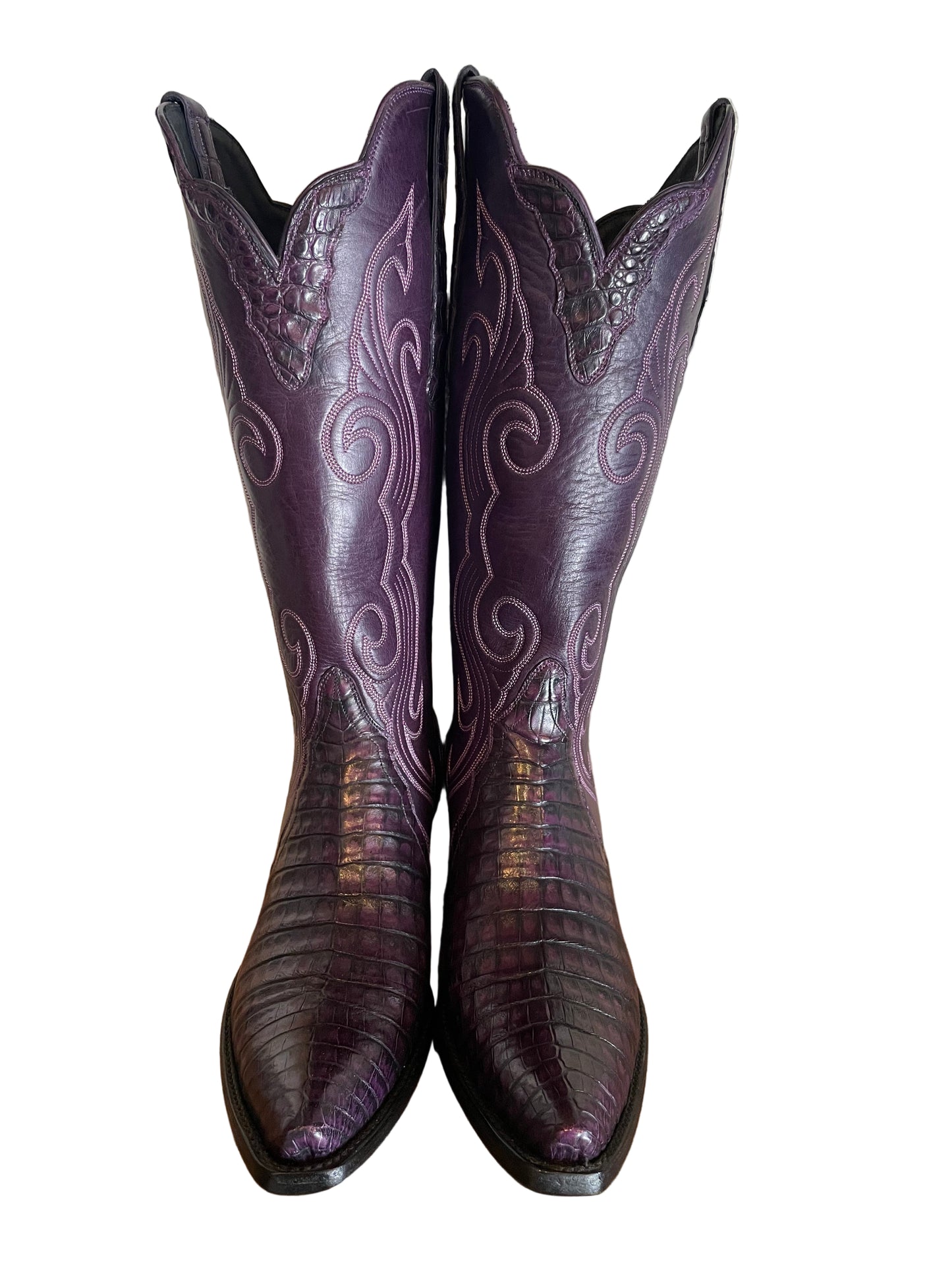 Tall Caiman Belly Gallegos Cowgirl in Grape