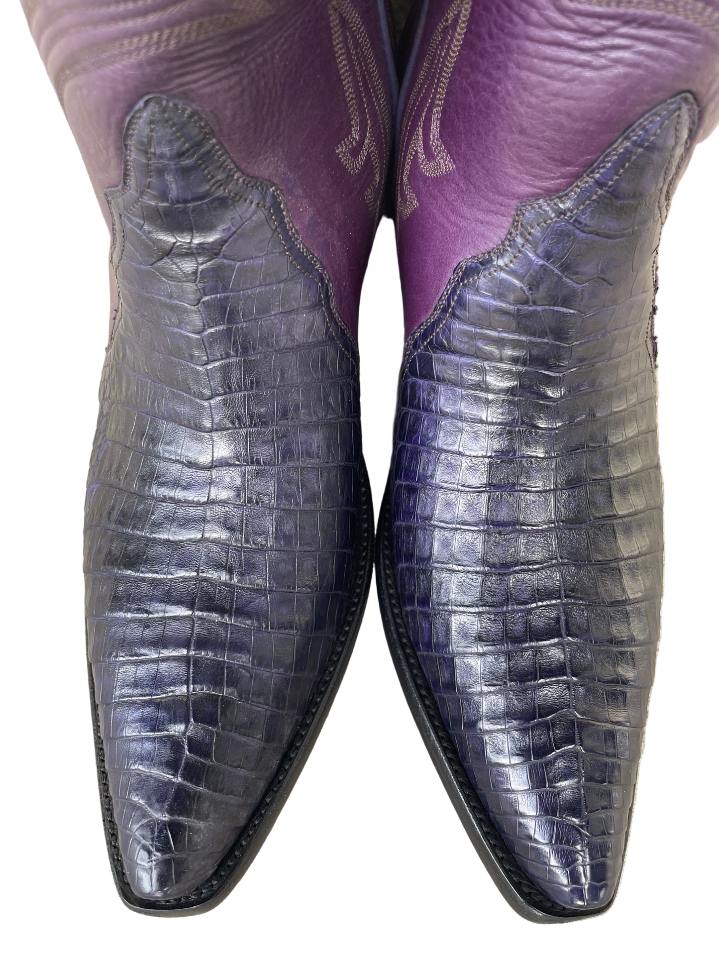 Caiman Belly Gallegos Western in Grape