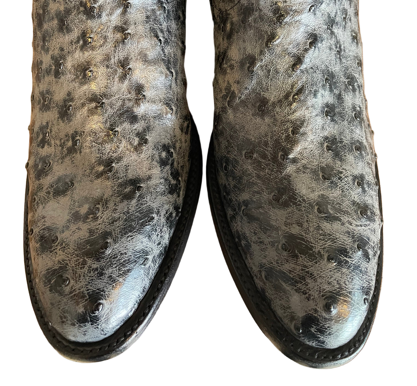 Full Quill Ostrich Western in Burnished Gray