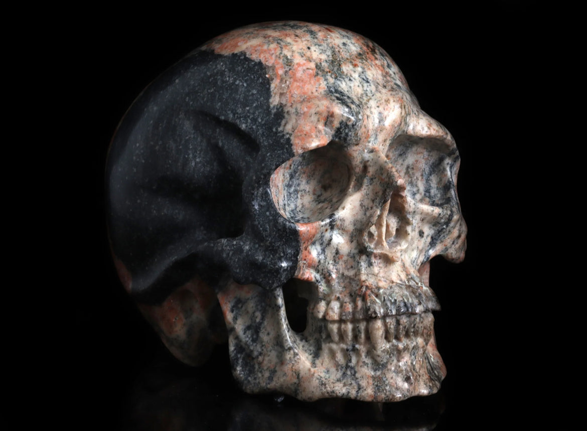 Small Acasta Gneiss Skull