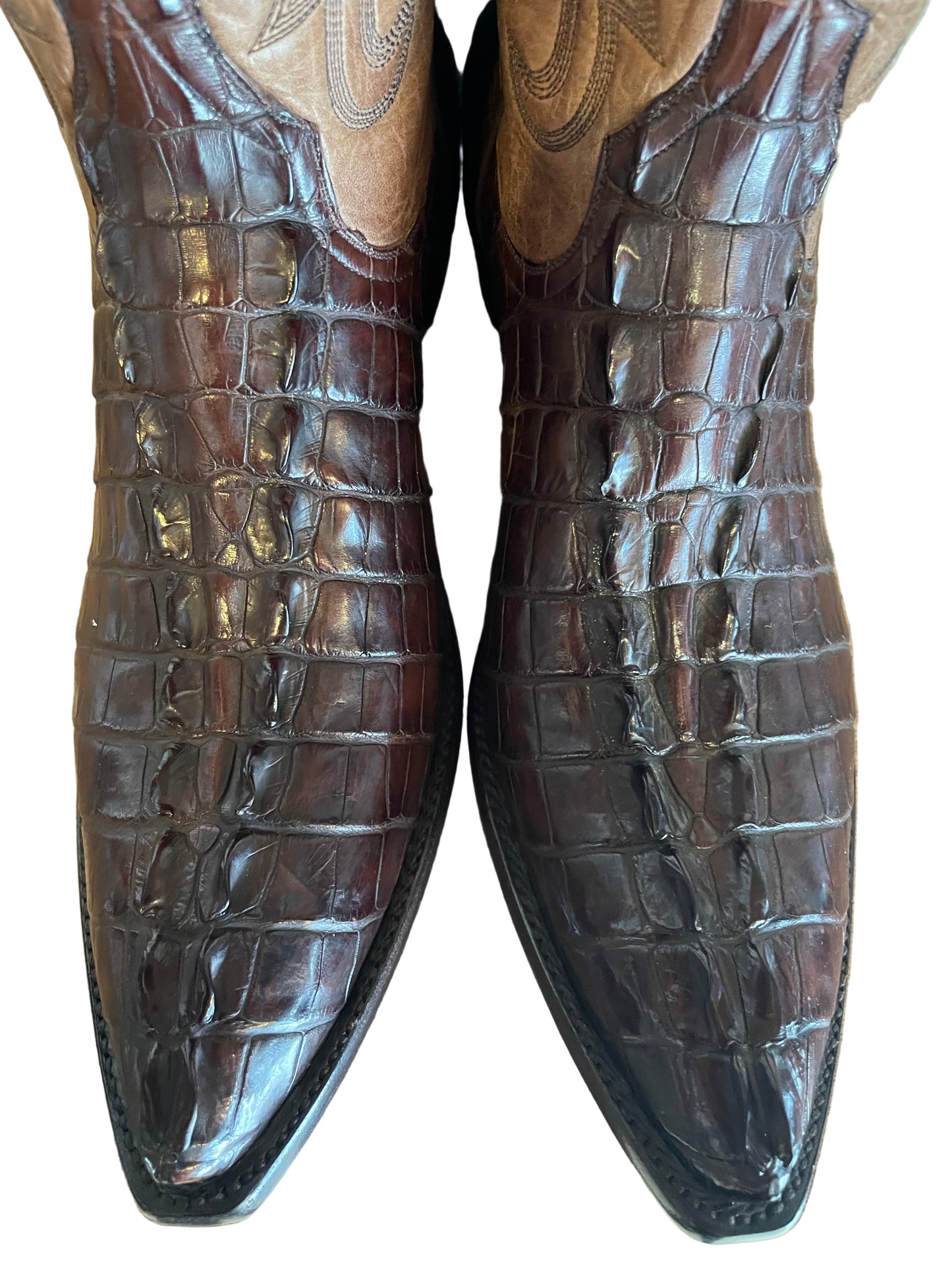 Hornback American Alligator Tails Cowboy in Chocolate and Tan