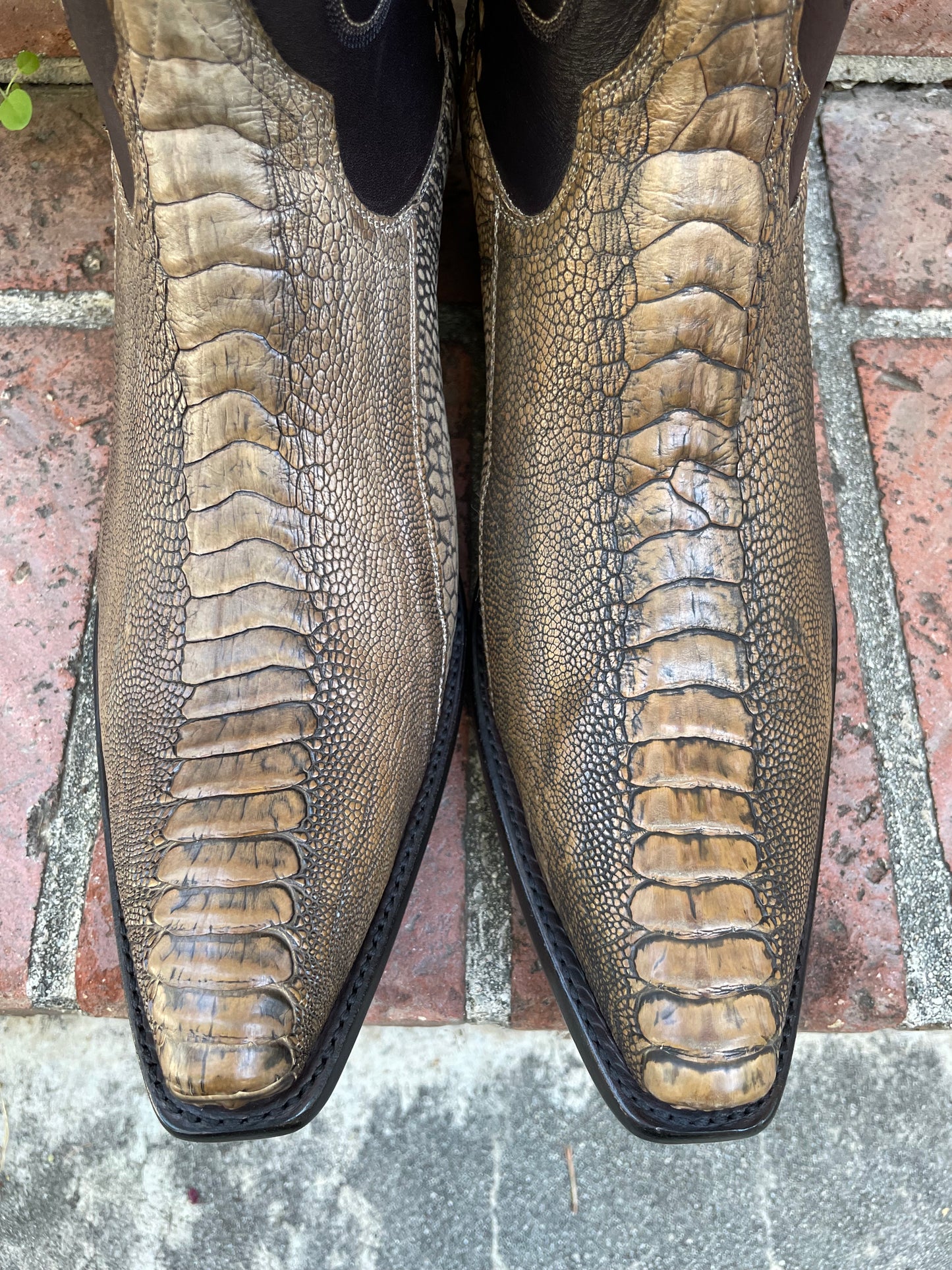 Antiqued Tan Ostrich Leg Western