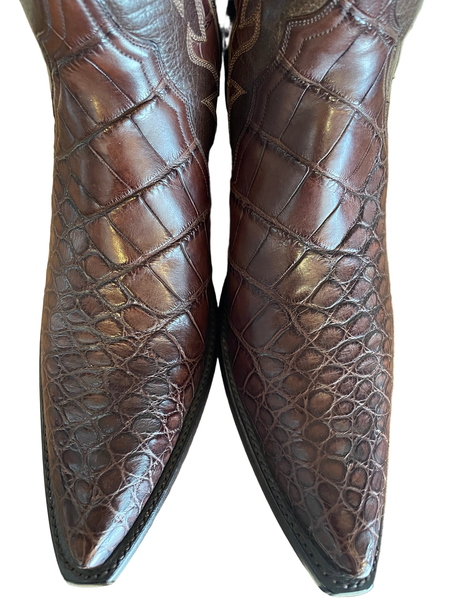 Alligator Belly with Inlays Gallegos Cowgirl in Chocolate
