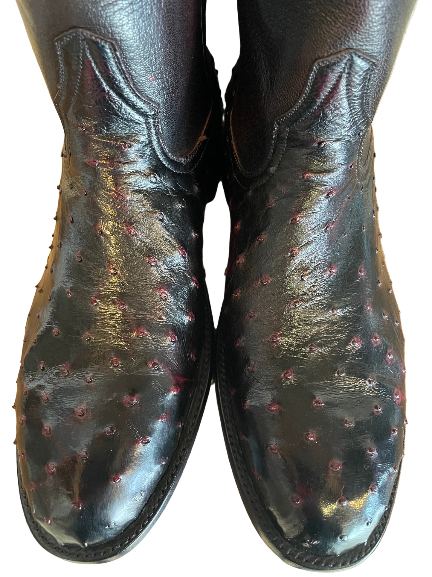 Full Quill Ostrich Roper in Black Cherry