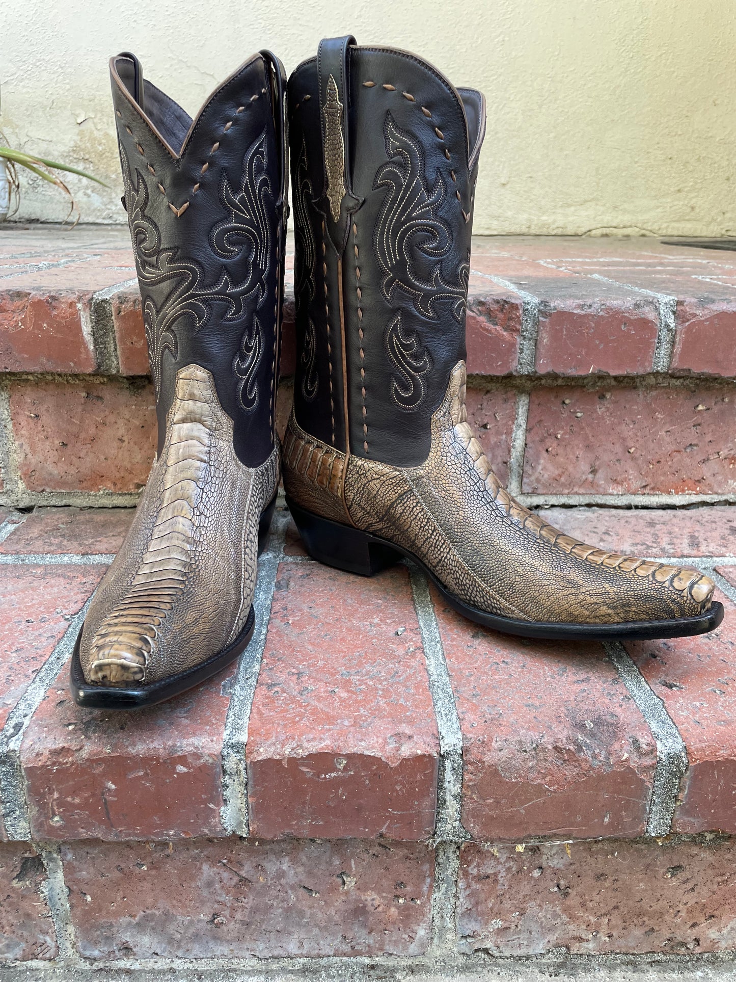 Antiqued Tan Ostrich Leg Western