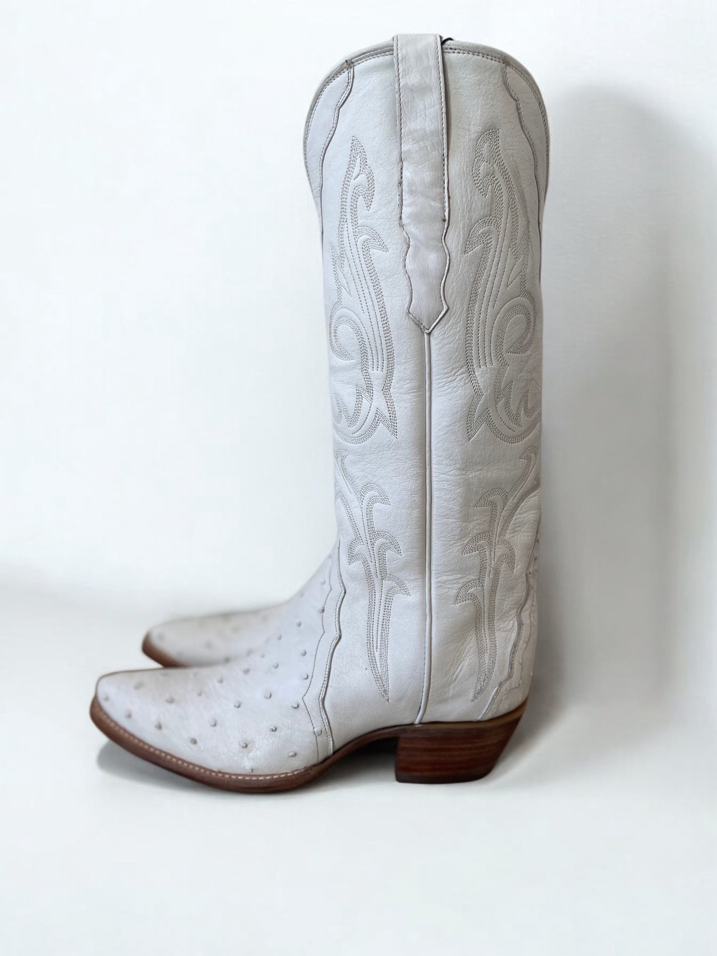 Ostrich Western Gallegos in Blanc