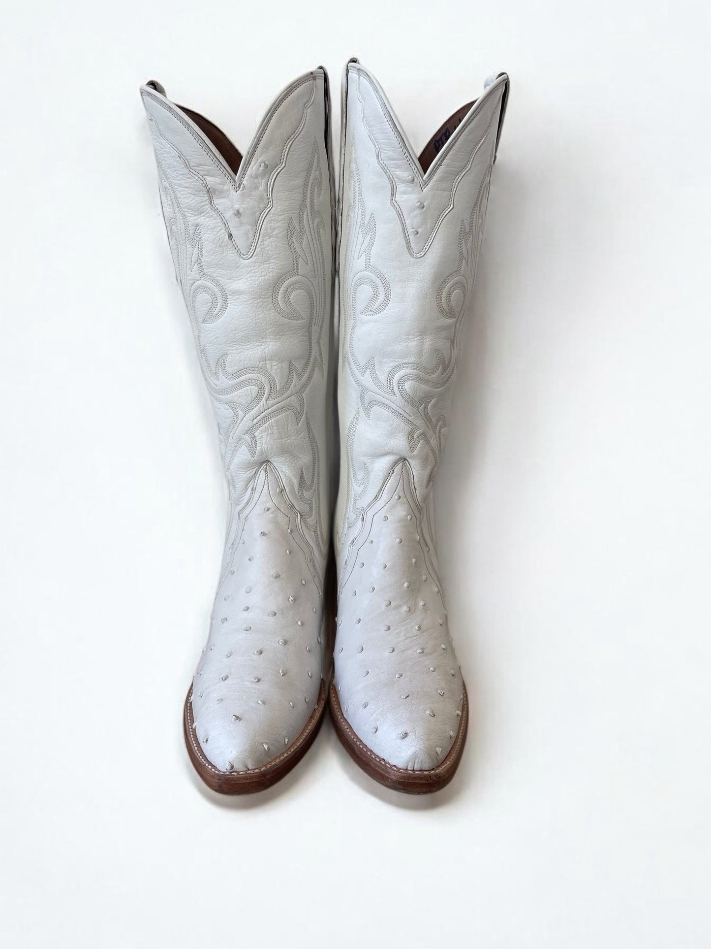 Ostrich Western Gallegos in Blanc