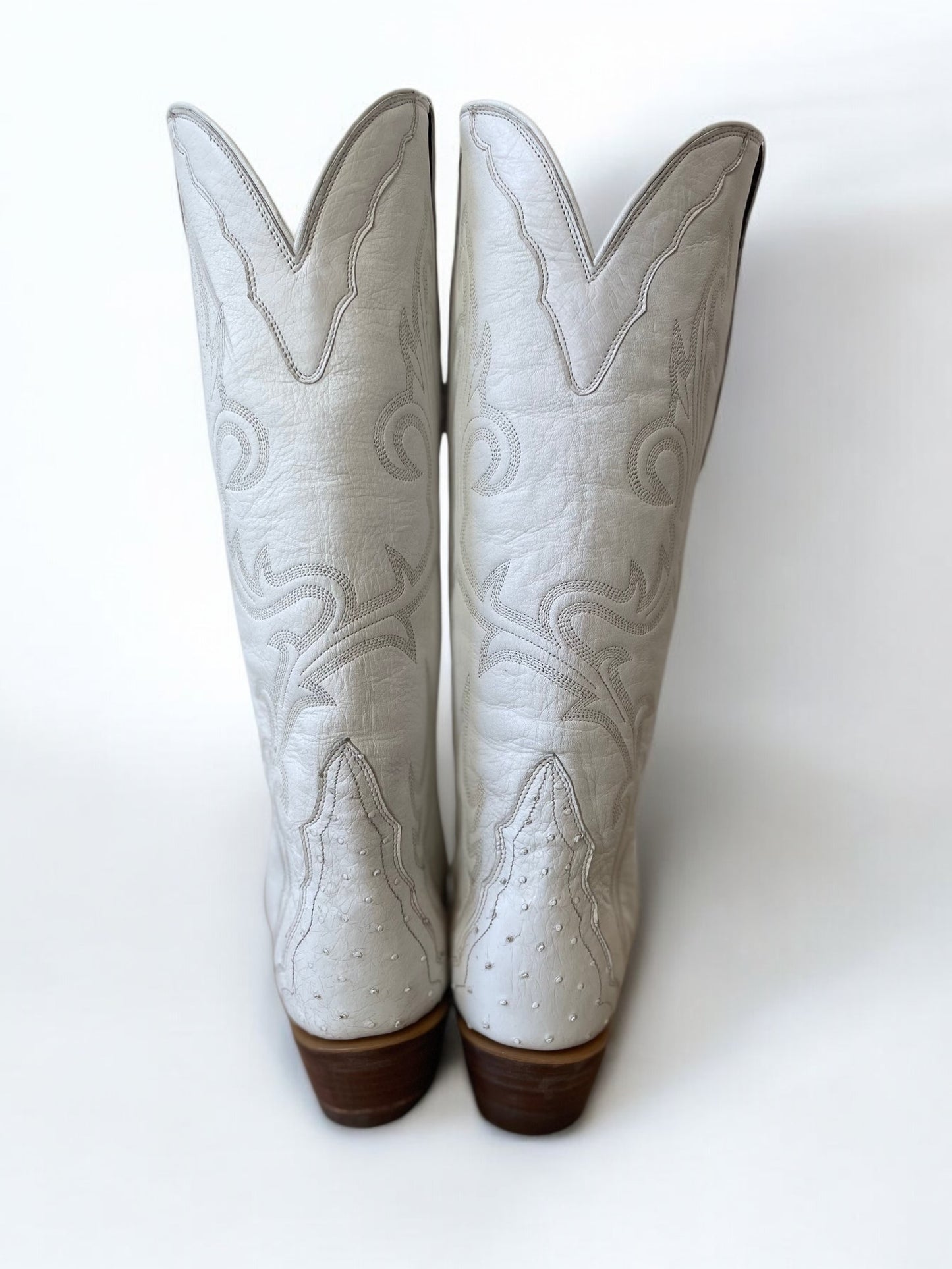 Ostrich Western Gallegos in Blanc