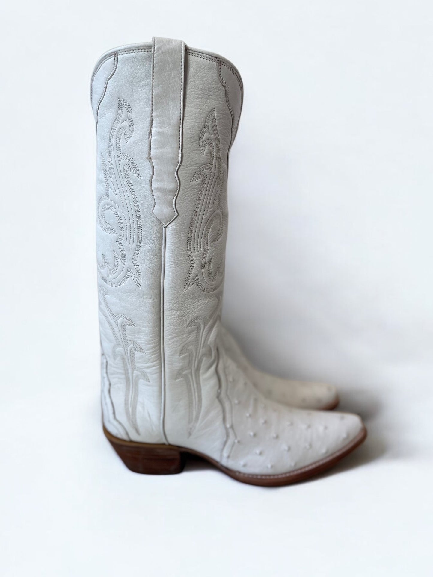 Ostrich Western Gallegos in Blanc