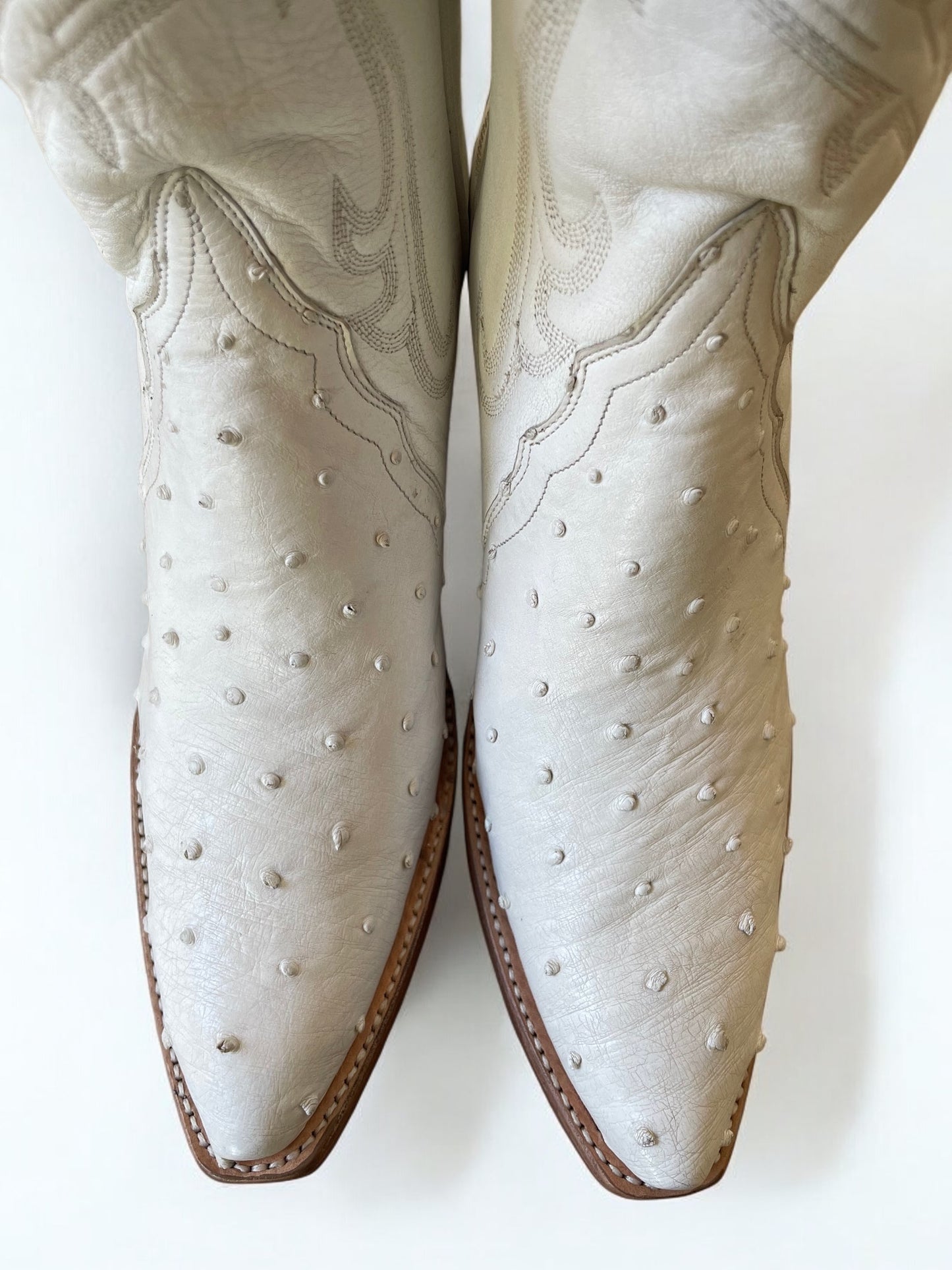 Ostrich Western Gallegos in Blanc