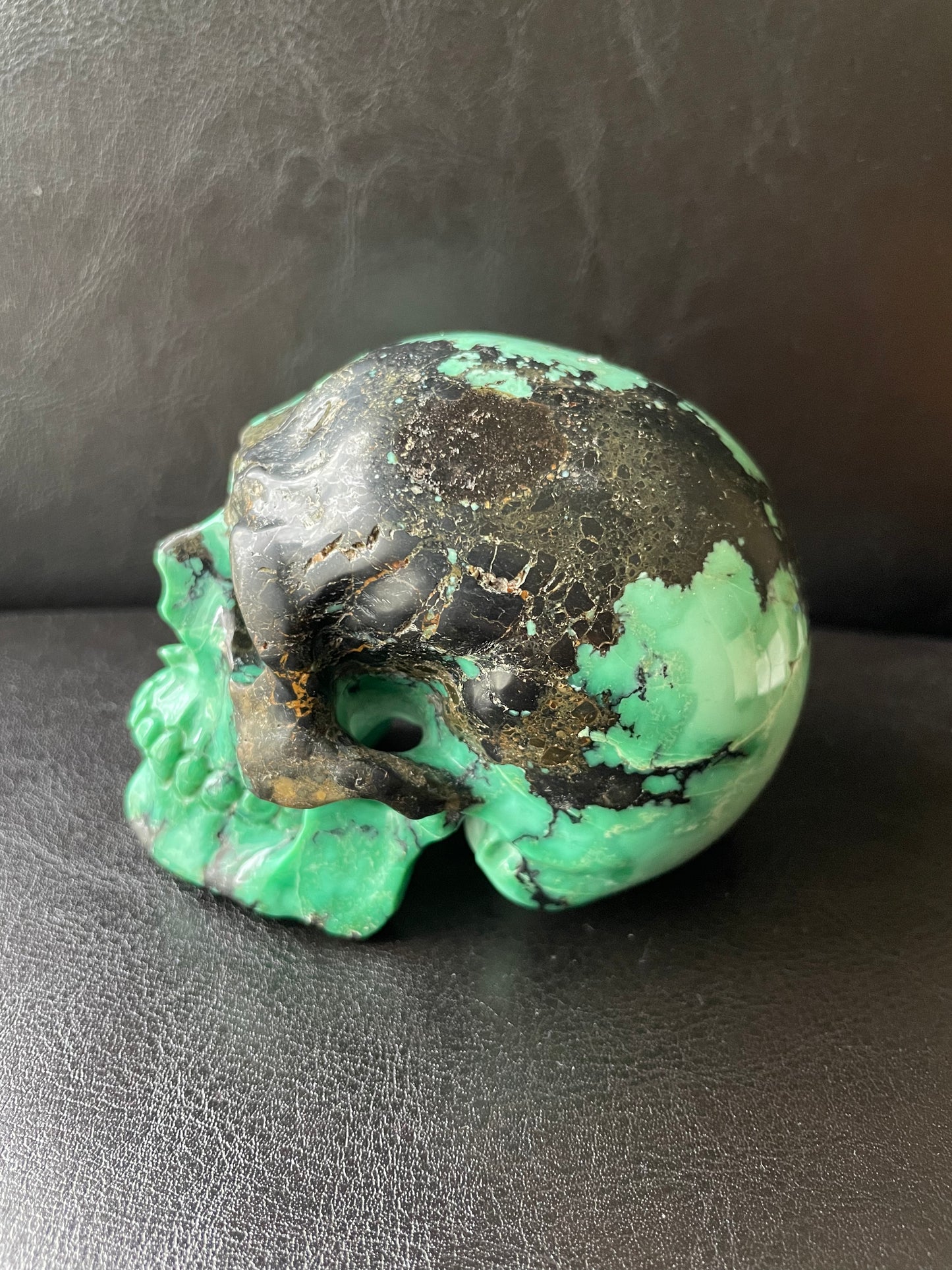 Peacock Skull