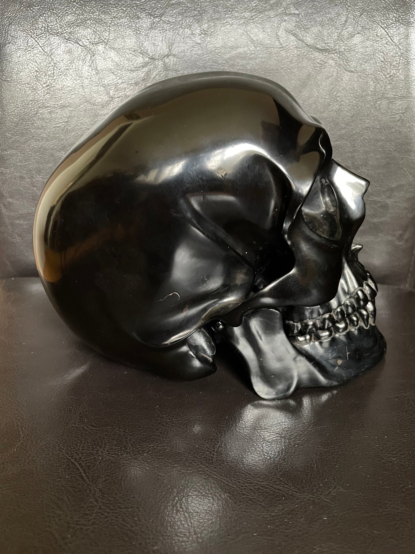 Jet Skull Lifesize With Articulated Jaw